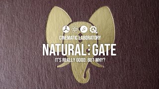 Video thumbnail for Natural Gate by Rabid Elephant | It's REALLY good. But why? by Cinematic Laboratory