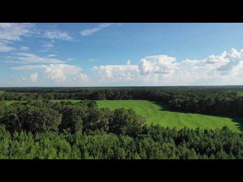 Mavic 2's OCUSYNC 2.0 Is Fantastic!