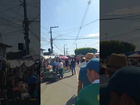 peregrinação a divina pastora Sergipe