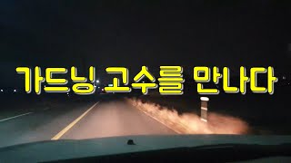 가드닝(원예) 고수가 알려주는 식물 잘 키우는 방법