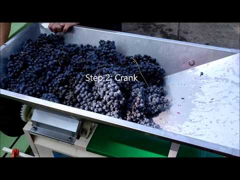 Using a Grape Crusher Destemmer