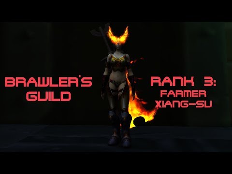 WoW BfA 8.1.5 Brawler's Guild - Rank 3 - Farmer Xiang-Su