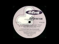 DJ Sneak - You Can't Hide From Your Bud
