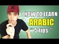 tips to learn arabic