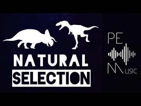 Natural Selection // Walking With Dinosaurs Remake OST // Music Video