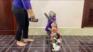 Download lagu Thank You, Mom!! 4 Siblings Raising Hand Up Very Excited THANKS Mom For Bring Them Dinner Treat, mp3 Download lagu Thank You, Mom!! 4 Siblings Raising Hand Up Very Excited THANKS Mom For Bring Them Dinner Treat, mp3