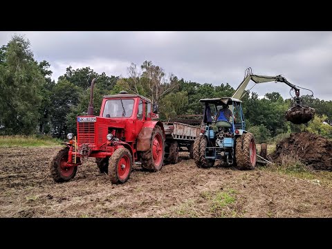 T 157/2 und Belarus MTS 50 in der Festmistausbringung