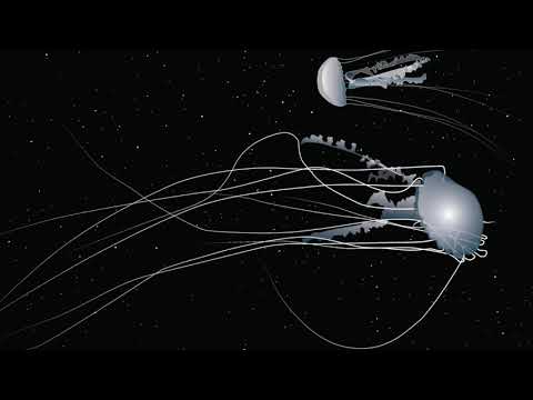 Namito - Snakes don't scare me anymore