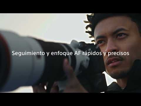 Miniatura del vídeo
