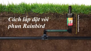 Cách lắp đặt vòi phun Rainbird