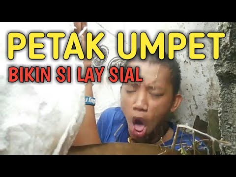 petak-umpet-pembawa-petaka-film-komedi