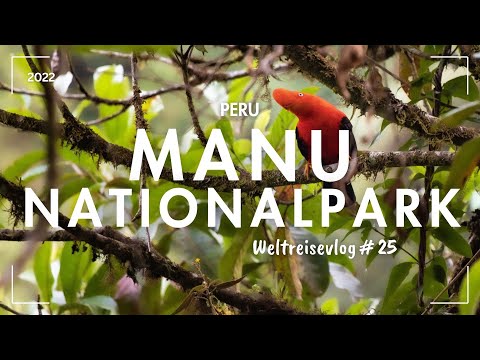 Manu Nationalpark Tour Amazonas Peru   Weltreise Vlog