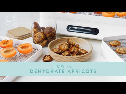 How to make DRIED APRICOTS in a dehydrator