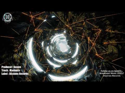 Breakbeat 2020 // Gosize - Madness 🤪 [Breaks Mix]