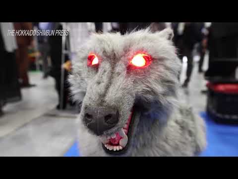 Robot Wolf Review Video 1