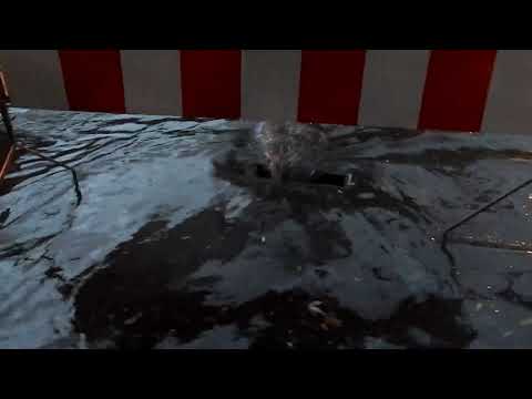 Brzeziny po burzy 30.08.2020 DK 72