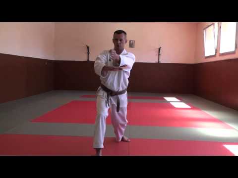 KIHON - Préparation passage de grade 1 er dan.