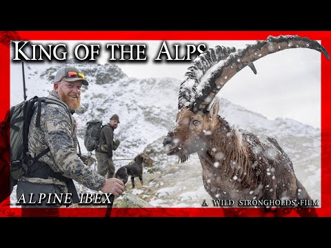 Wild Strongholds and HuntingConsortium