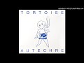 Tortoise vs. Autechre - Ten-Day Interval (Adverse Camber)