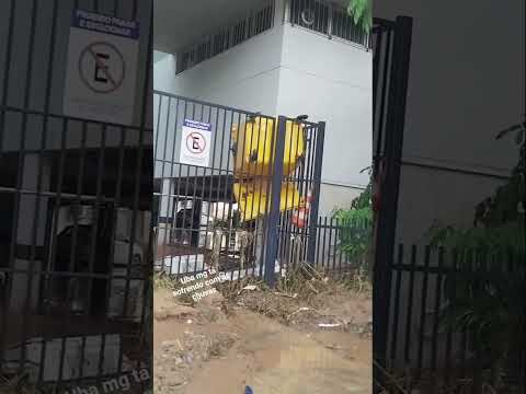 Uba Mg  arrasada #chuvas #viral #ubamg #shorts #lama #enchente #minasgerais
