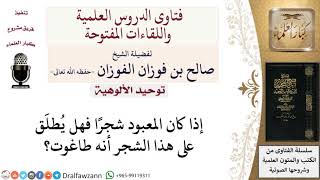 هل يطلق على الشجر المعبود طاغوت؟ لمعالي الشيخ صالح الفوزان image