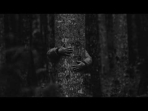 Loneliness & Sace - I Fall Apart