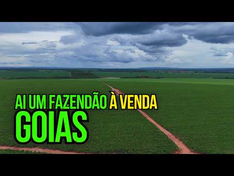 FAZENDÃO À VENDA EM GOIÁS I 1.170 HECTARES ARRENDADA PARA USINA