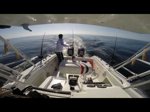 Fishing Kingfish Part 3