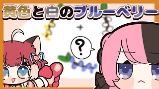 「黄色と白のブルーベリー」に疑問を抱くひなのママ【手描き切り抜き/橘ひなの/赤見かるび/魔界ノりりむ/ひなのファミリア】