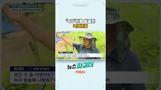 '늑구'처럼 탈출한 늑대개들