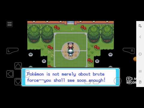 Elite Four Koga Ultra Shiny Gold Sigma