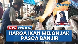 Pasca Banjir, Harga Ikan dan Sayuran di Maros Melonjak, Air Tawar Rp 75 Ribu Perkilogram