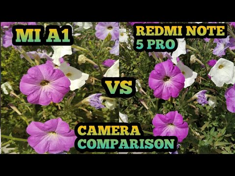 camera comparison note 5 pro vs mi a1| redmi note 5 pro camera review| mi a1 camera review Video