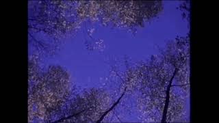 Revelator Eyes - The Paper Kites (slowed + reverb)