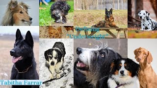 Defining 'Underweight'