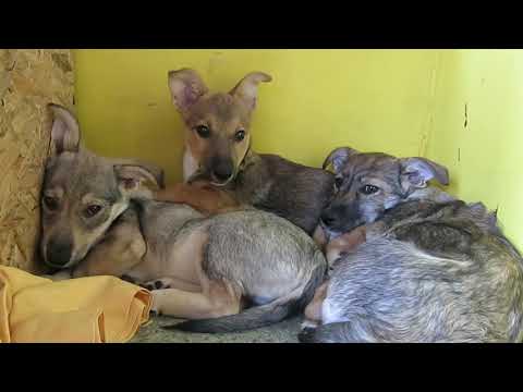 amaia, citlali + maricarmen