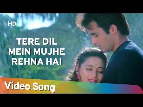 Tere Dil Mein Mujhe Rehna Hai — watch video