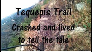Tequepis - Crashed and lived to tell the tale