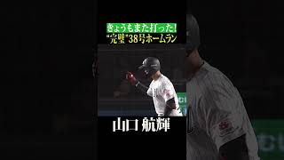 【止まらない…】山口航輝『38号本塁打』 #shorts