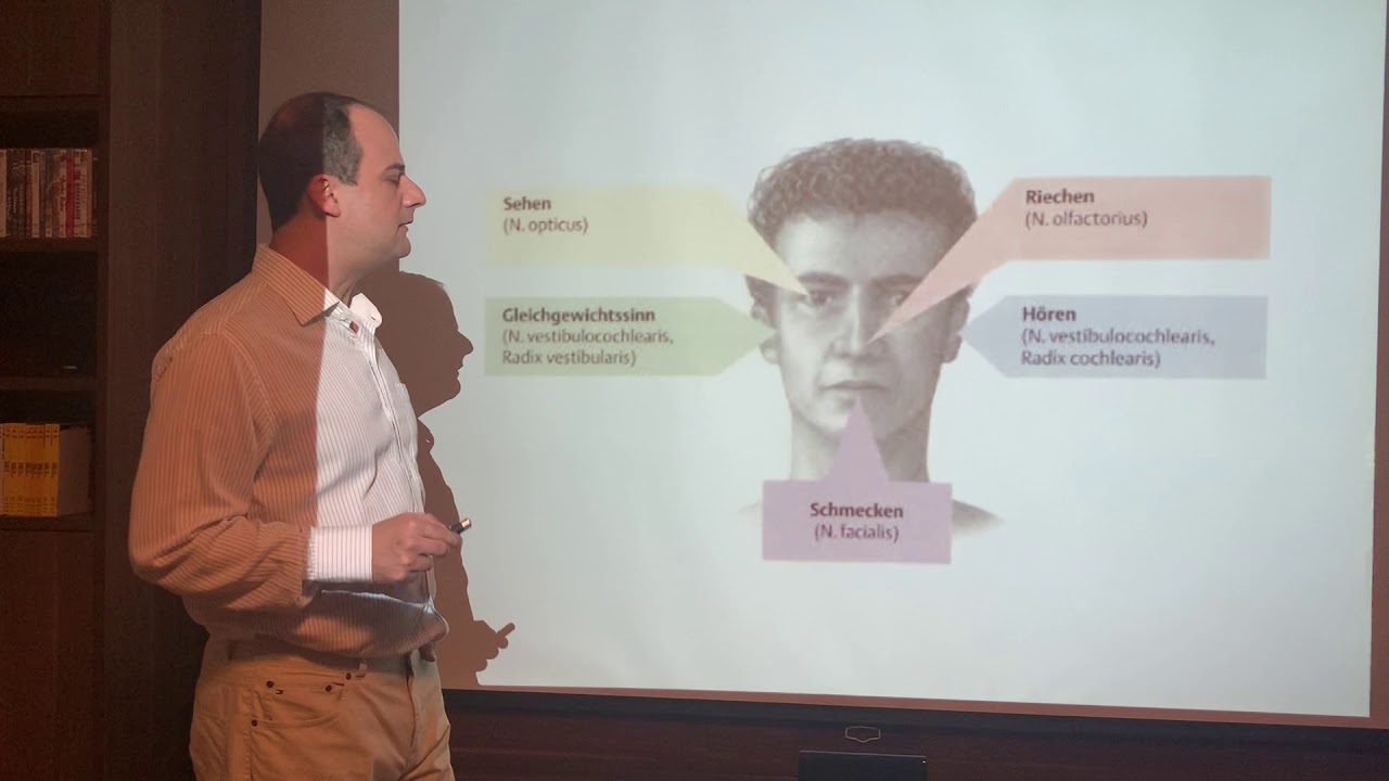 Vias Ascendentes - Neuroanatomia