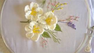 Hand embroidery Brazilian embroidery