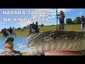 KING COBRANG DI MAG KASYA SA LALAGYAN GIBAIN ANG LUNGGA NG KING COBRA SA DAAN Cobraprince Tolcobra