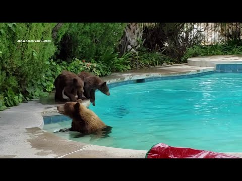 Youtube video image