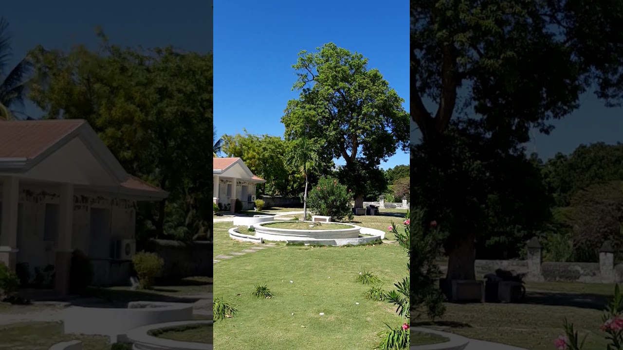 YouTube Short thumbnail