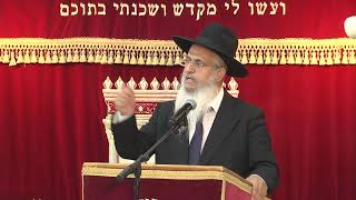 קניין מטלטלין חלק ב | חושן משפט | הרב יורם סרי