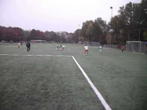 Baronie F1 - ZIGO F1 (03-11-2012)