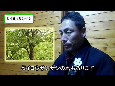 草が茂ったサンザシ 植物