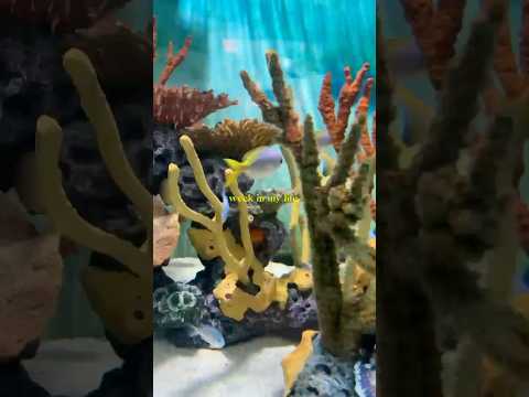 Ceci: Join me behind the scenes at the Mystic Aquarium