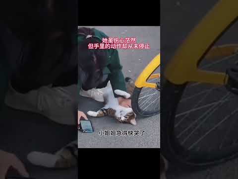 小貓被車撞倒在路邊，女孩路過進行心臟復蘇 她努力挽救弱小生命的身影 感動了無數網友 ，她那么著急，就像在救一個人，讓我第一次感覺到眾生是平等的！ #眾生平等 #愛護動物  #畫一個故事 #善舉暖人心