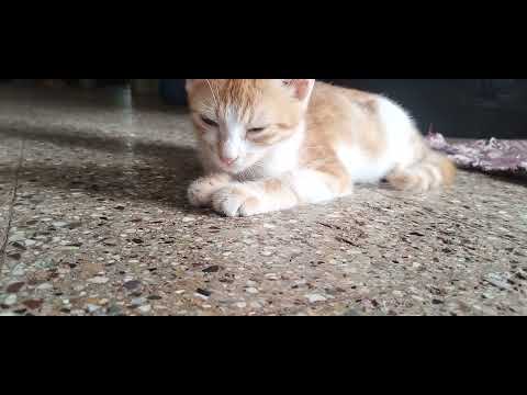 falling asleep as she is waiting for her mom